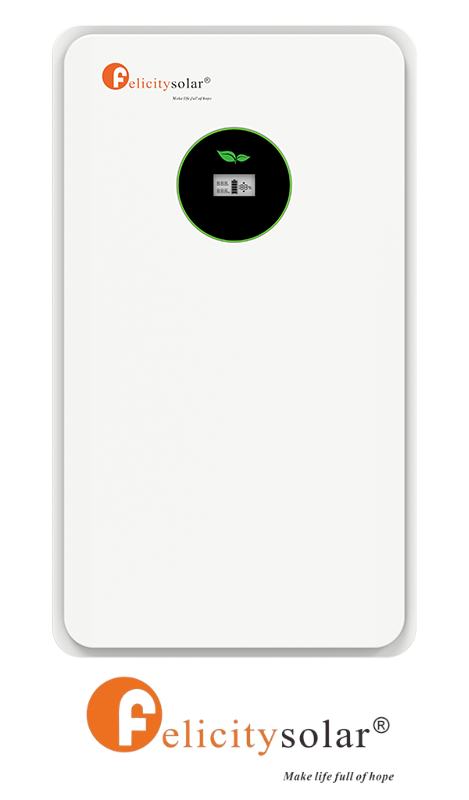 Felicity Bateria FLA48206WG1-EU 10,54kWh 51.2V (IP65) (niskonapięciowy)